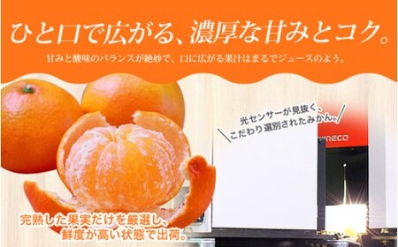 【農家直送】有田みかん 約10kg 大玉3L以上【nuk139F】