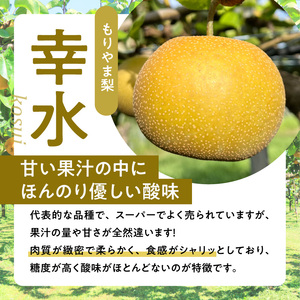 びわこもりやまフルーツランド  もりやま梨　幸水詰め合わせ  完熟採り　生産農家直送 CV-0012