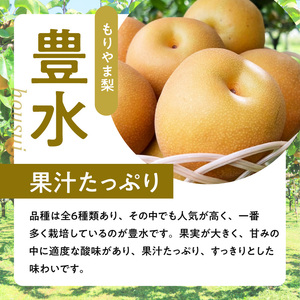 びわこもりやまフルーツランド  もりやま梨　豊水 詰め合わせ  完熟採り　生産農家直送 CV-0013