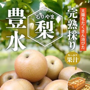 完熟採り　もりやま梨（豊水）3キロ～3.5キロ【先行予約】 CW-0002