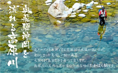 冷凍鮎 6匹 / 天然鮎 鮎