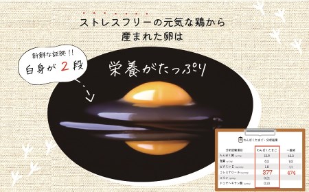 A04-751　太陽の下放し飼いわんぱく卵「10個入×3パック」