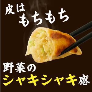  定期便 5ヶ月 冷凍餃子 63個 21個入り× 3箱 手仕込み 老舗 一番亭 モチモチ 皮 野菜 たっぷり 豚肉 満足感 晩ごはん 家族 お裾分け 子ども 弁当 惣菜 お取り寄せ 家庭用 餃子セット 冷凍食品 中華 三島市 静岡県