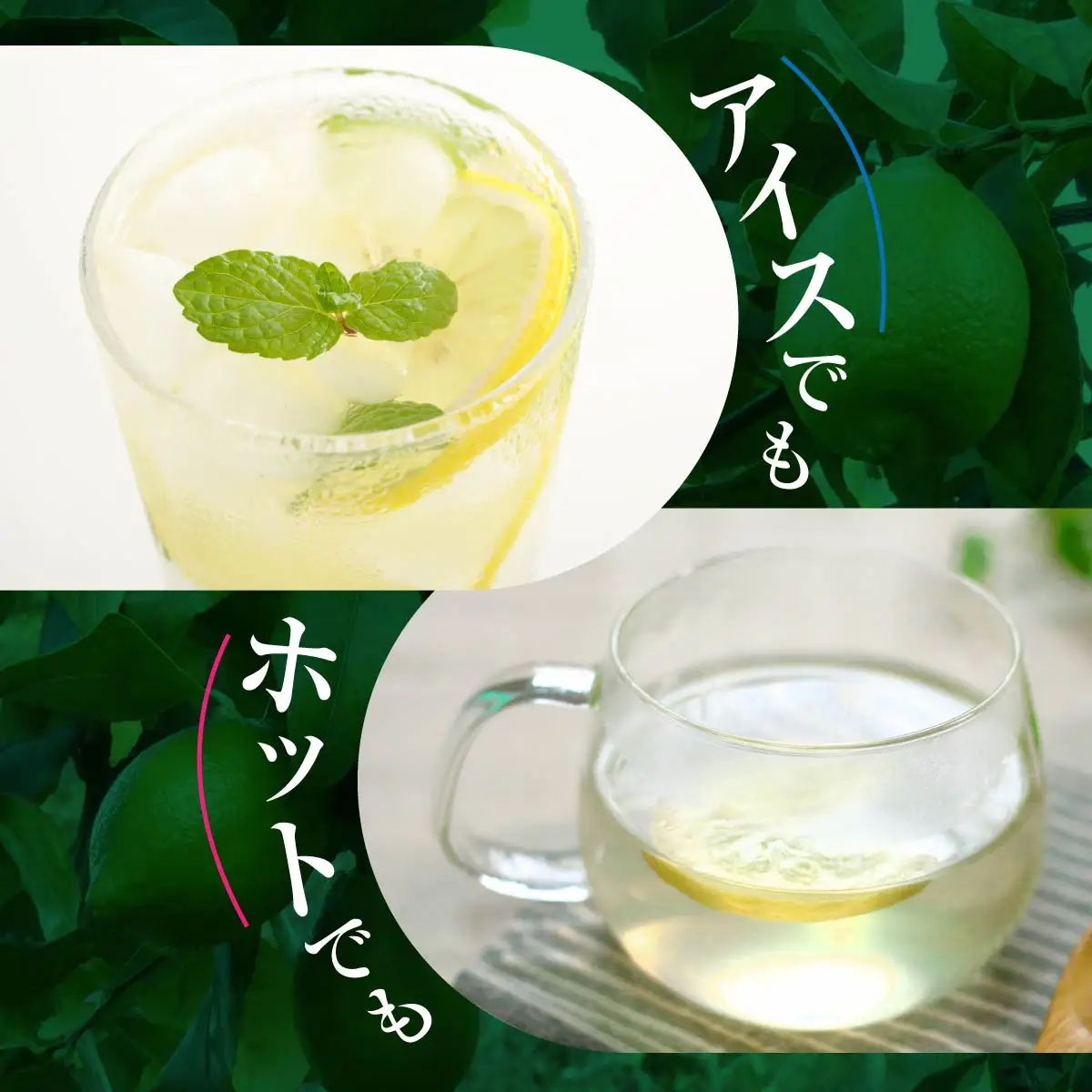 もぎたてレモン(粉末清涼飲料)10袋セット