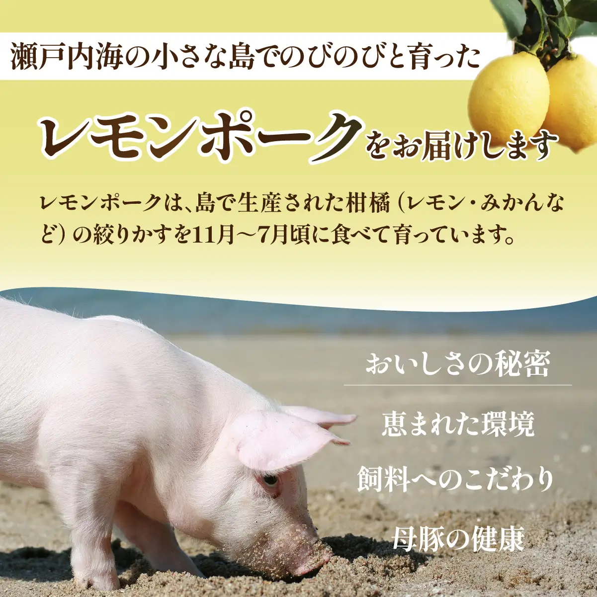 豚肉 レモンポーク　バラスライス600gモモスライス600g【配送不可地域：離島】