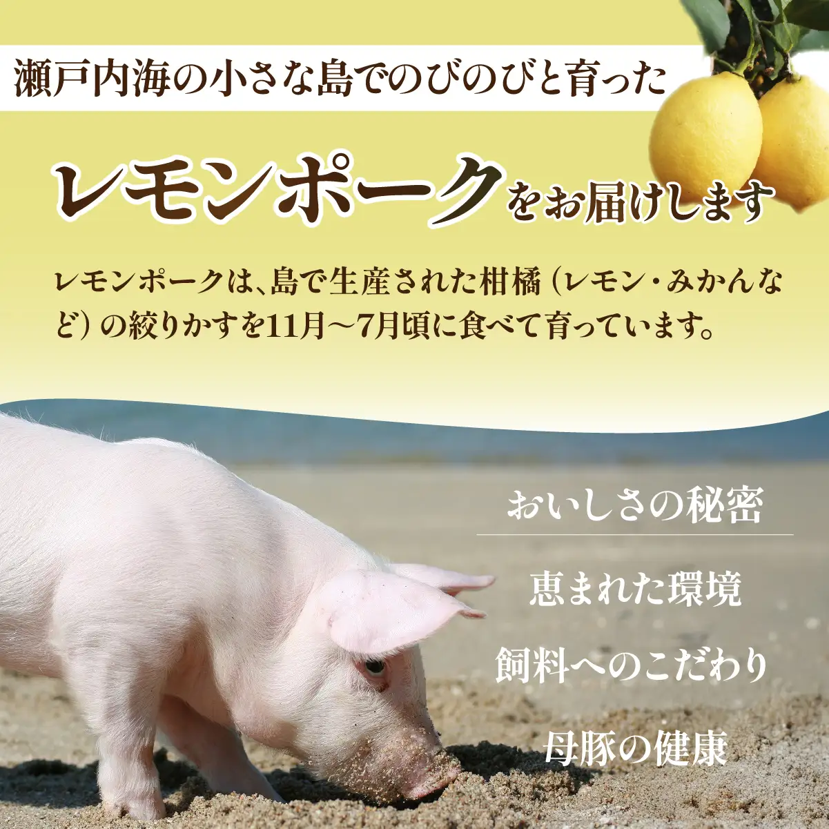 豚肉 レモンポーク　スペアリブ500gバラ焼肉400g【配送不可地域：離島】