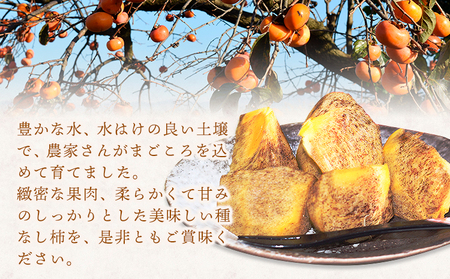紀の川柿 約2kg (種なし/黒あま柿) 秀品