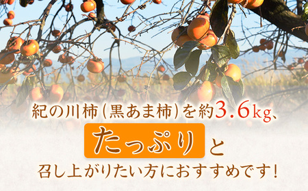 紀の川柿たっぷり 約3.6kg 秀品