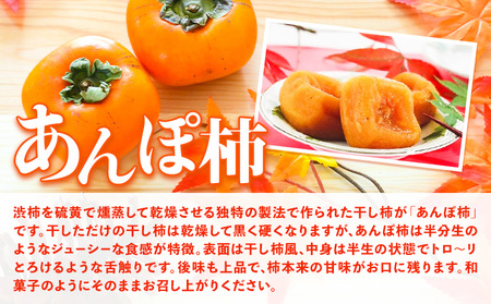 和歌山県産 あんぽ柿 70g×8個セット 紀の川市厳選館 《90日以内に出荷予定(土日祝除く)》 和歌山県 紀の川市 種なし柿 干し柿 ドライフルーツ カキ かき ジューシー フルーツ 和菓子