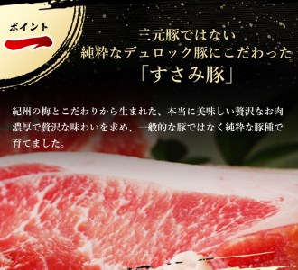 【希少すさみブランド豚】すさみ豚 切り落とし 2.5㎏ (ウデ・モモ切り落とし500g×5パック)/貴重 ブランド豚 小分け スライス お得 大容量 万能 炒め物 焼肉 しゃぶしゃぶ 生姜焼き 冷しゃぶ 冷凍 すさみ町 【ibu116】