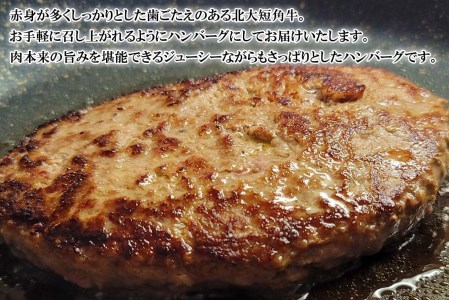北海道産 北大 短角牛 ハンバーグ 計 1080g (180g×6枚) 