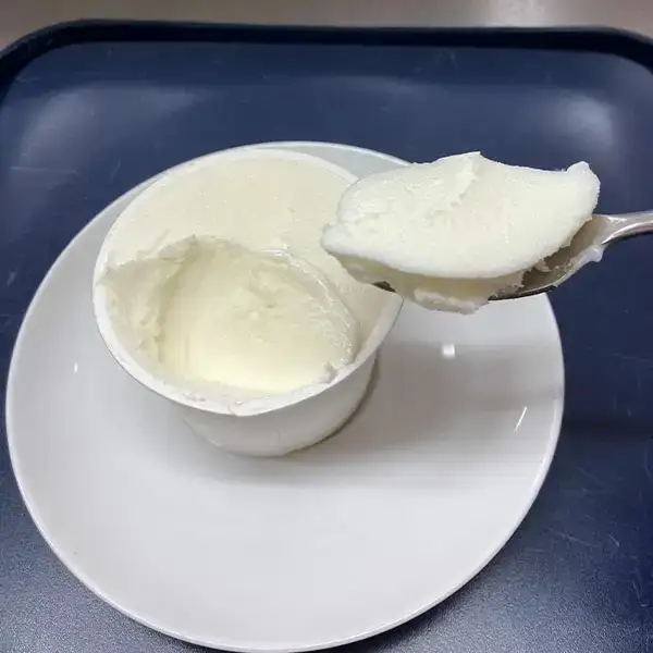 手作りジェラートセット 乳化安定剤・卵・小麦不使用 ジェラートマエストロの作るアイスのセット【010P198】