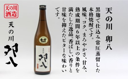 【全3回定期便】壱岐スーパーゴールド22度と 天の川 卯八 [JDB237] 42000 42000円