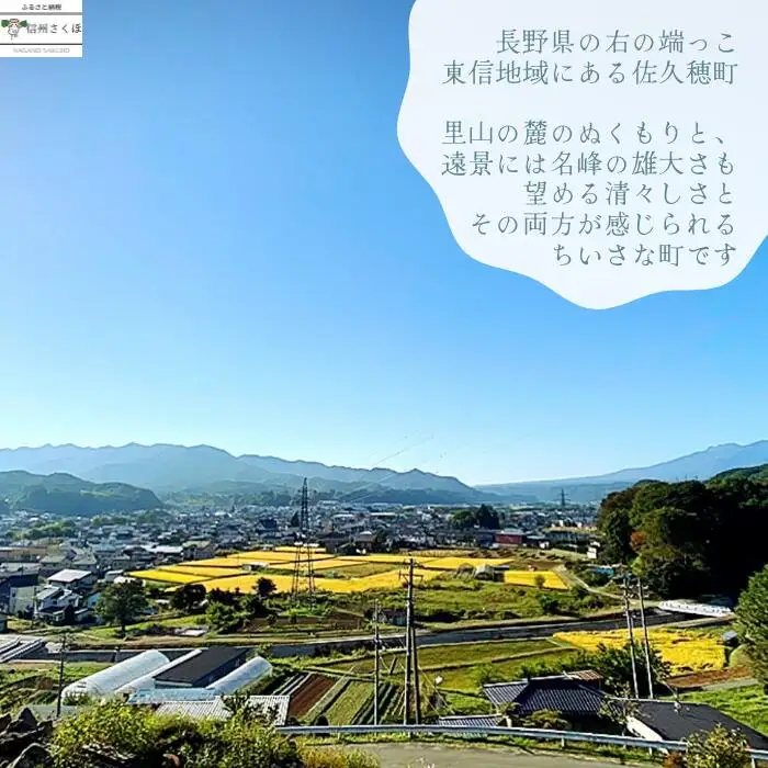 稜線フリーカップ　ピンク　―和やかの山から―［YA-108］