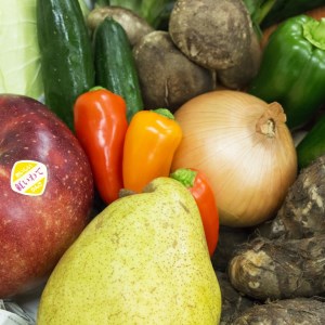 イーハトーヴ野菜B 満足セット 9品～ 詰め合わせ【1203】