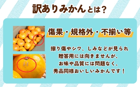 みかん 訳あり 有田みかん 約10kg 【nuk138H】
