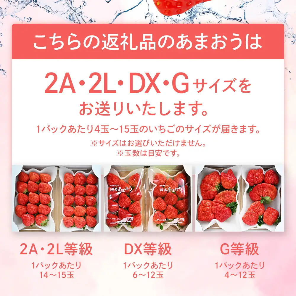 先行予約 あまおう 合計約1kg 約250g×4パック あまおう  【2027年2月～3月順次発送予定】