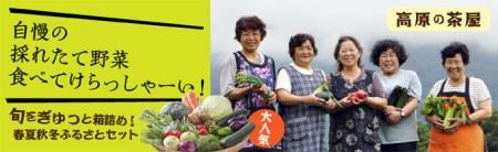 四季折々のふるさとセット