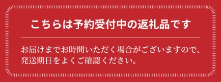 【2026年発送】夏の風物詩 中玉すいか「虎太郎西瓜」２玉 すいか 甘い すいか2玉 　H141-016