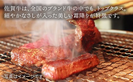 ＜ご褒美焼肉に！＞佐賀牛ヒレ肉 焼肉用 1kg(500g×2) 吉野ヶ里町/ミートフーズ華松 ブランド 高級 和牛 BBQ やわらか 冷凍 料理  精肉 牛肉 希少 赤身[FAY076]