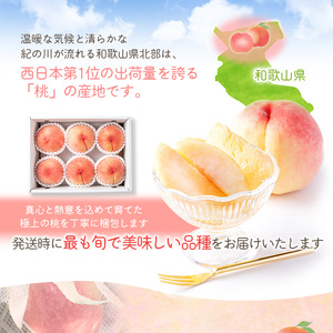 桃 和歌山の桃(5～8玉入り)【2026年6月中旬頃から8月上旬頃発送予定】【mat101D】