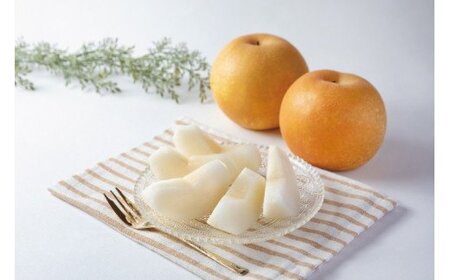 和歌山県産の美味しい梨 約4kg （10～13玉入り）【2026年8月中旬頃から9月中旬頃に順次発送予定】/ フルーツ 果物 くだもの 梨 洋梨 和梨【mat102C】
