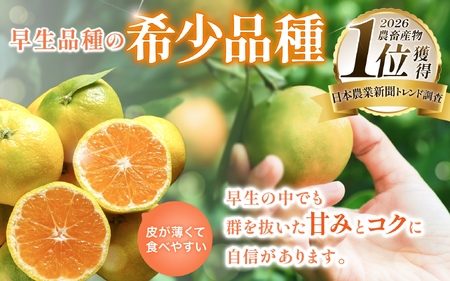 みかん 希少品種 ゆら早生みかん 約2kg【nuk143E】