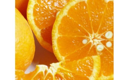 【ご家庭用訳アリ】初夏のみかん なつみ7.5kg　※2027年4月中旬頃〜2027年4月末頃順次発送予定(お届け日指定不可) / くだもの 果物 フルーツ 柑橘 オレンジ 有田みかん みかん 夏【uot733A】