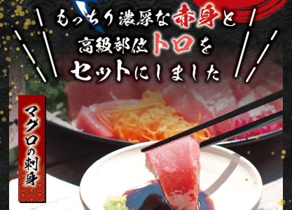 本マグロ（養殖）トロ＆赤身セット 500g 【年内発送（12/26～12/29発送）】高級 クロマグロ  中トロ 中とろ  まぐろ マグロ 鮪 刺身 赤身 柵 じゃばらまぐろ 本マグロ 本鮪【nks110D-sg】
