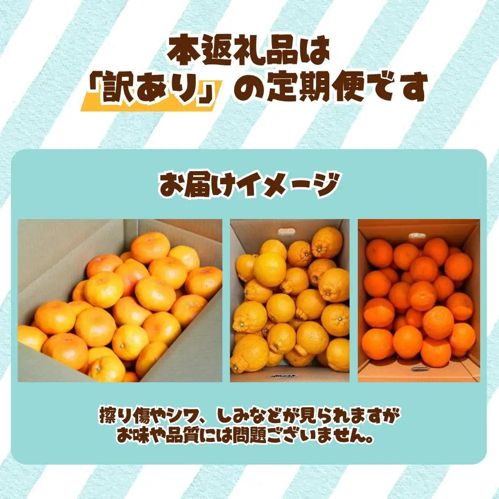 みかん 定期便 訳あり×たっぷり 温州みかん 不知火 清見オレンジ【tkb113】
