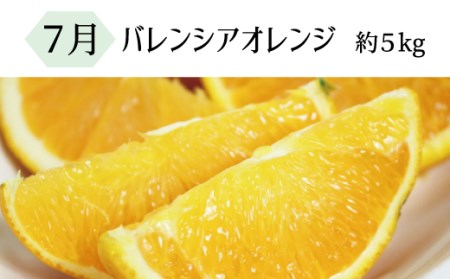 【全3回定期便】暑い季節にお届け！果物定期便　バレンシアオレンジ・桃・柿　旬のフルーツをお届け♪ / オレンジ みかん 柿 モモ フルーツ 果物定期便 フルーツ定期便 おすすめ 人気フルーツ 和歌山【tkb142】