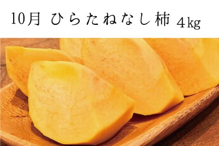 【3か月定期便】【全3回定期便】秋の味覚 果物定期便　柿・みかん　旬のフルーツを毎月お届け♪ / フルーツ定期便 みかん 柿 フルーツ 果物 柑橘【tkb130】