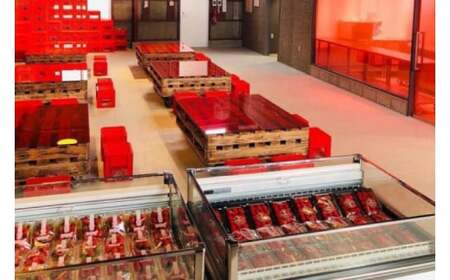 ごろっとイチゴとレアチーズ (AX001)