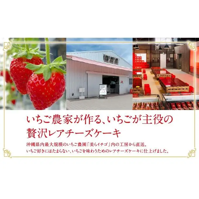 イチゴとレアチーズ（南城市／美らイチゴ）   