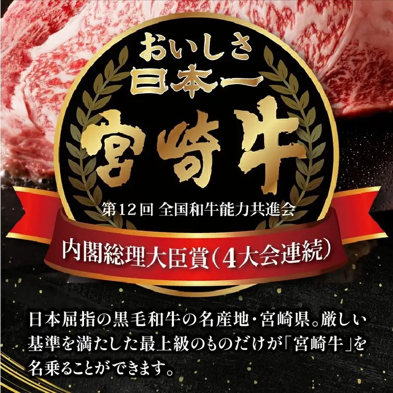 牛肉 カルビ焼肉 牛肉[宮崎牛 三角バラ 600g]