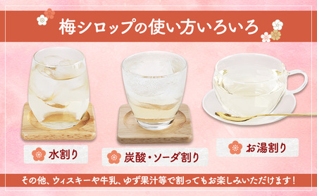 大河原町観光物産協会 特産品Cセット ドレッシング 調味料 ポン酢 柚子 梅 シロップ 果実 詰め合わせ 