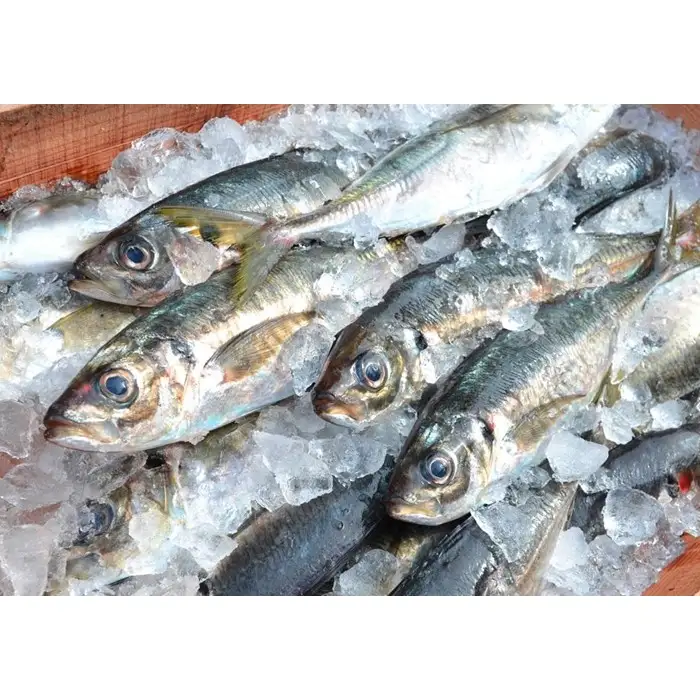 振り塩仕立て　真アジ開き10枚セット　★長浜市場で水揚げ★