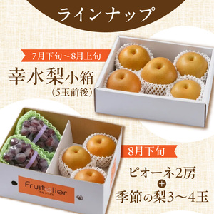 【年間7回配達】【フルトリエ】100年続くフルーツ農家の定期便_定期便 7回 贈答用 フルーツ セット 詰め合せ 幸水梨 ピオーネ シャインマスカット フルーツビネガー いちごジャム 梨のコンポート あまおう いちご 食べ比べ ギフト 果物 朝採れ 冷蔵 送料無料 100年続くフルーツ農家 フルトリエ 中村果樹園 〔Fx012〕