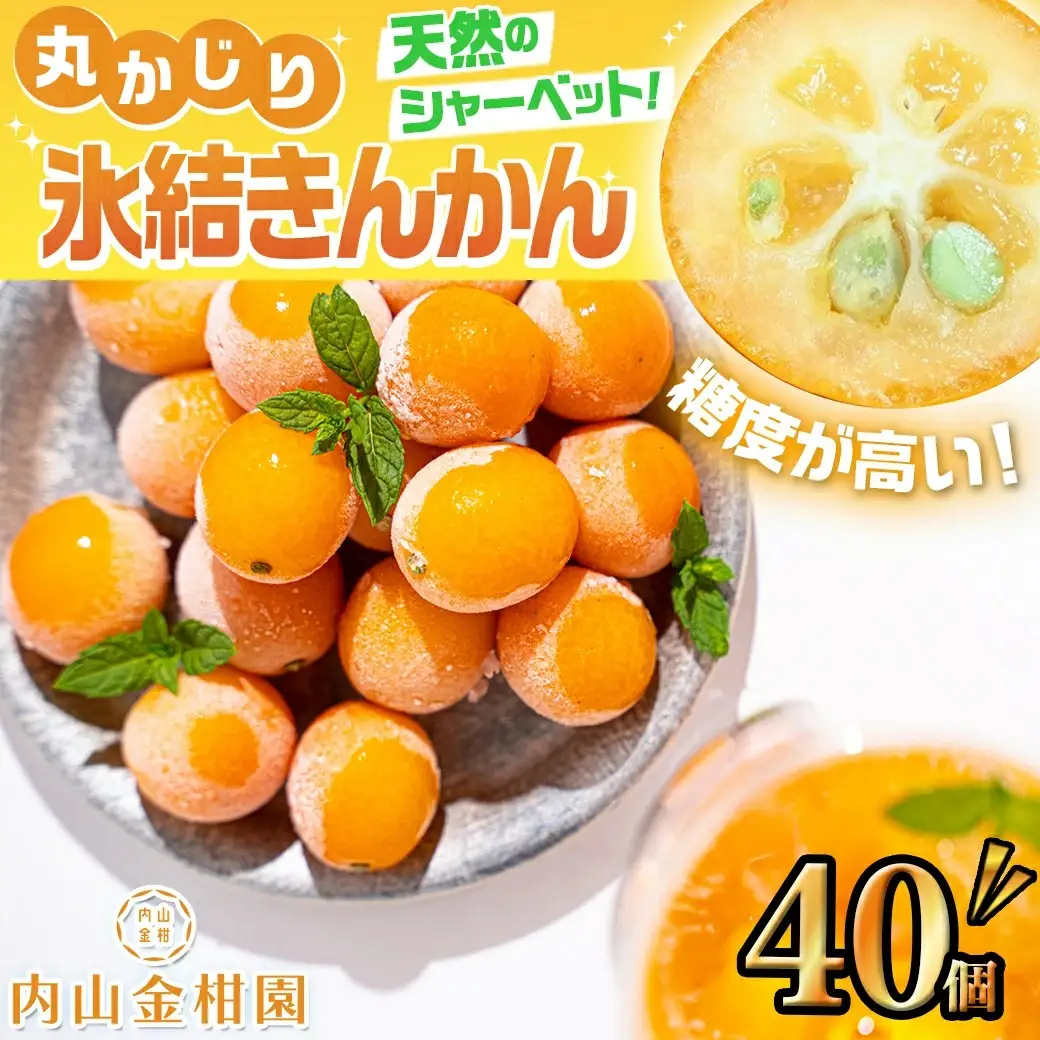 天然のシャーベット! 丸かじり氷結きんかん〔AA-B502〕_(都城市) 都城産 完熟きんかん きんかん 冷凍きんかん 急速冷凍