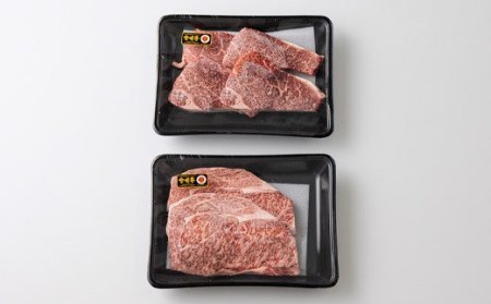 宮崎牛ロースステーキ 2枚（500g）＆宮崎牛モモステーキ 4枚（400g）　TF0541-P00043