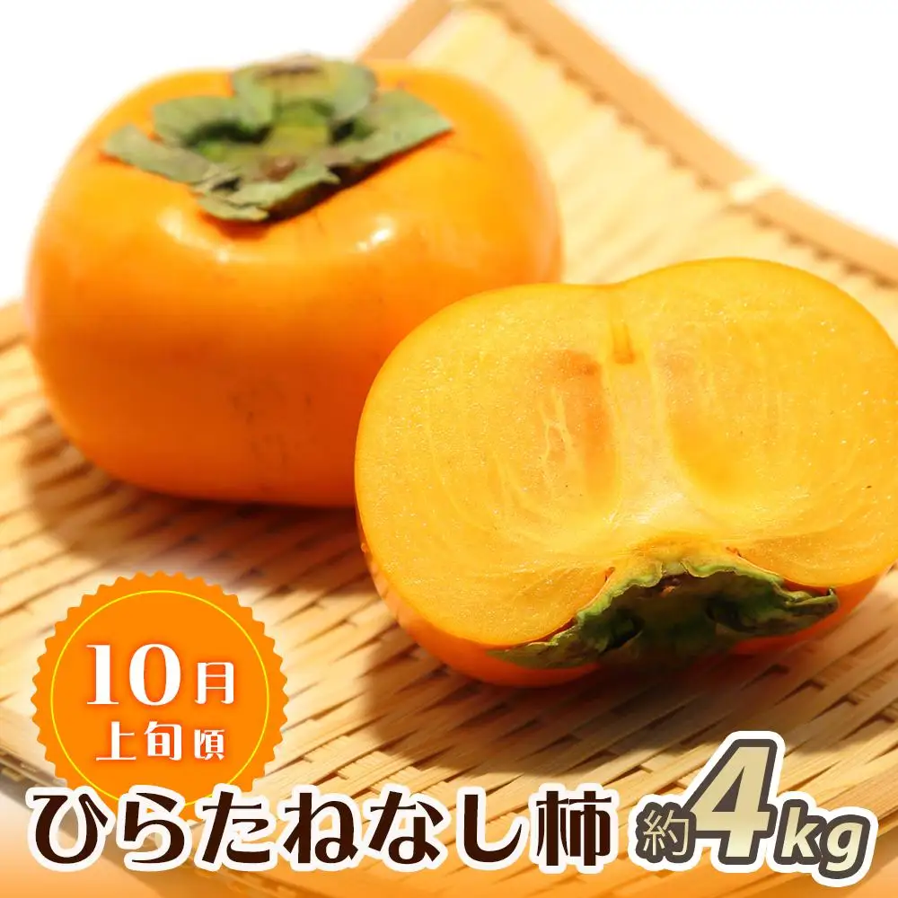 【魚鶴商店厳選】和歌山人気のフルーツ定期便（柿・みかん）【定期便全3回】【UT115】