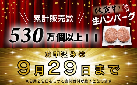 FM031_【最長半年待ちの大人気】佐賀牛入り熟成ハンバーグ18個＋2個【期間限定】