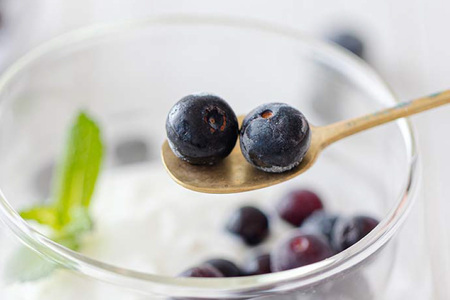 ブルーベリー 冷凍 500g × 2袋 1kg [春夏秋冬いっつもや 宮崎県 美郷町 31ab0135]