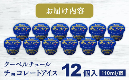チョコレートアイスクリーム 12個入 アイス / アイス アイスクリーム カップアイス 冷凍 チョコ チョコレート カカオ 濃厚 ベルギー産 詰め合わせ セット デザート スイーツ おやつ 高知 アイス お取り寄せ 人気 ギフト プレゼント 贈答 贈り物 【グレイジア株式会社】 [ATAC217]