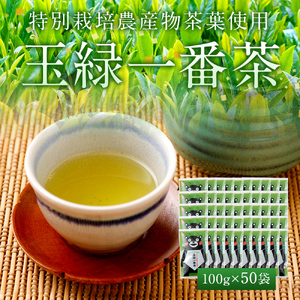 緑茶 くまモン 玉緑一番茶100g 50袋セット