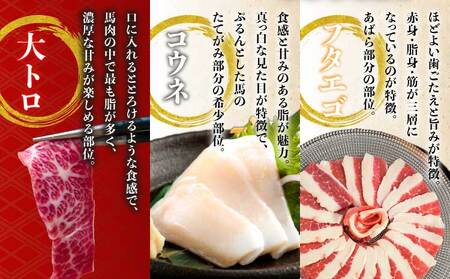 馬刺しセット 大トロ フタエゴ コウネ 600g
