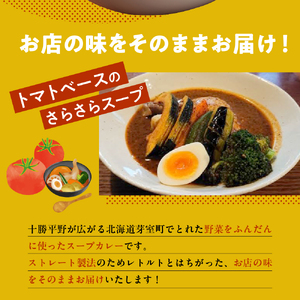 名物 チキン スープ カレー 2食 レンジ で 簡単 グルメ 夕飯 時短 簡単 おかず 北海道名物 鶏肉 ご当地グルメ 肉 手作り お取り寄せ 送料無料 国産 さくら亭 北海道 十勝 芽室町me042-002c