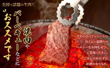 牛肉 焼肉 焼肉用 BBQ 計700g （350g×2種）