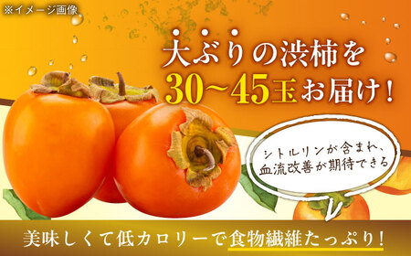 干し柿用 渋柿 あたご柿 10kg [AGBN022]