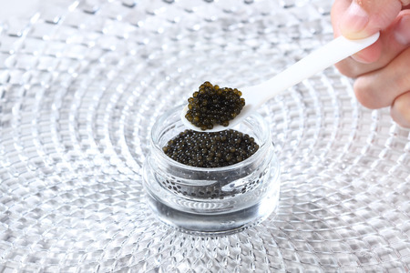 新見フレッシュキャビア 塩分3.5% 15g